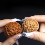 Clemence | Chinese Wenwan Walnut Pair Hand-Selected For Mindful Play — view 4