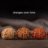 Clemence | Chinese Wenwan Walnut Pair Hand-Selected For Mindful Play — view 6