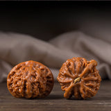 Clemence | Chinese Wenwan Walnut Pair Hand-Selected For Mindful Play — view 7