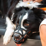 Rufus | Dog Muzzle Breathable Lightweight Design — view 1