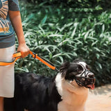 Rufus | Dog Muzzle Breathable Lightweight Design — view 8
