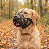 Rufus | Dog Muzzle Breathable Lightweight Design — lifestyle